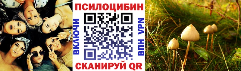 Псилоцибиновые грибы Psilocybine cubensis  где купить наркоту  Сретенск 